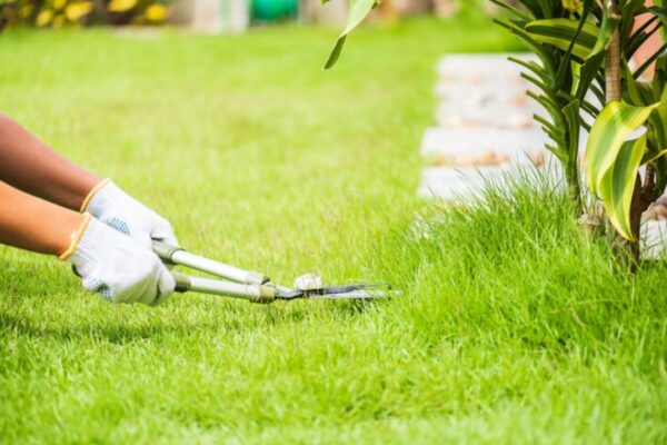 Professional Lawn Care Services: Keep Your Yard Looking Its Best Professional Lawn Care Services Keep Your Yard Looking Its Best