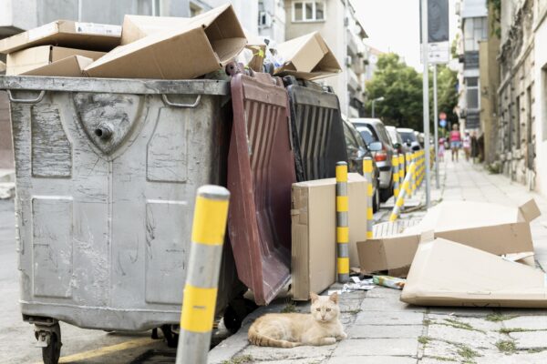 Transforming Pet Waste Cleanup with GoGoStik Transforming Pet Waste Cleanup with GoGoStik