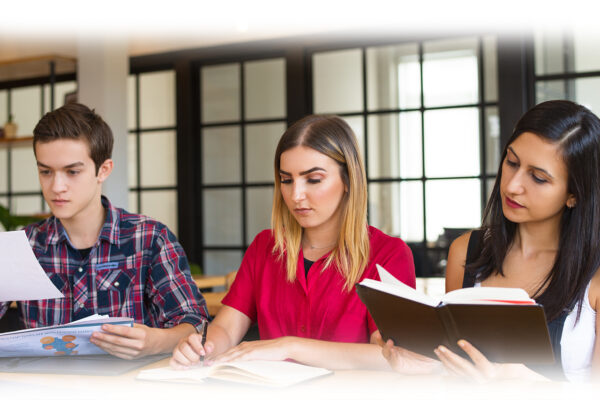 Business and Marketing Degree in Turkey: Your Career Path Business and Marketing Degree in Turkey