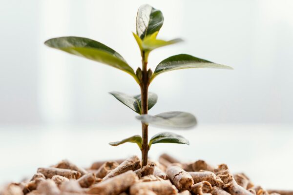 How Does Pellet Fertilizer Compare to Other Fertilizer Forms in Terms of Efficiency and Cost? Pellet Fertilizer, Organic Fertilizer UAE