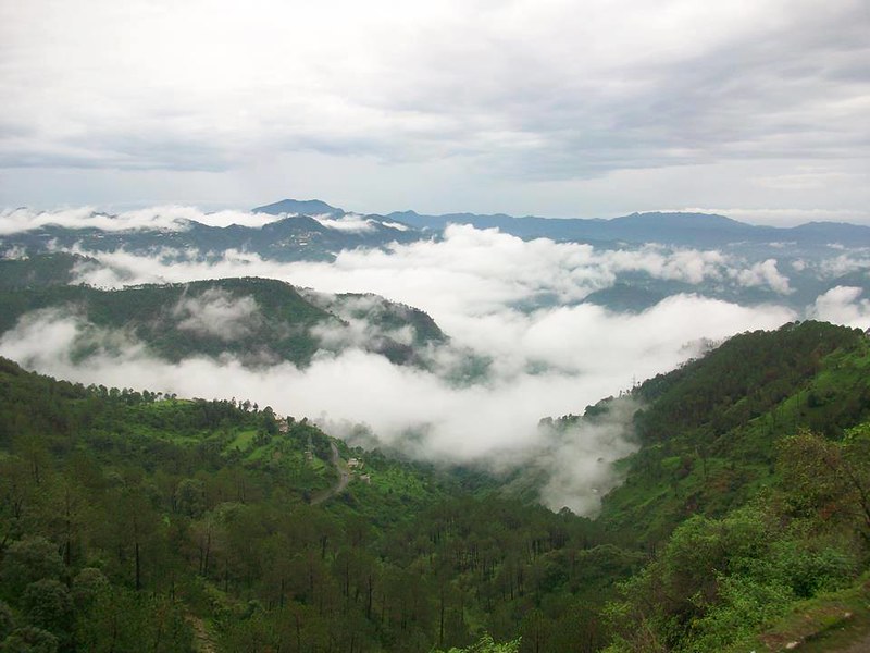 Misty green hills and floating clouds create a dreamy landscape, showcasing the beauty offered by Himachal Pradesh tour packages.
