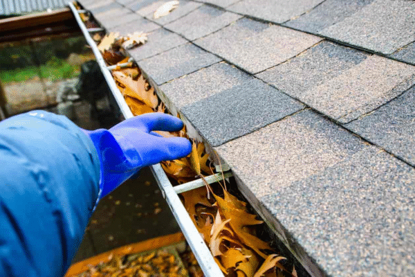 Top Reasons to Schedule Professional Gutter Cleaning in Geelong