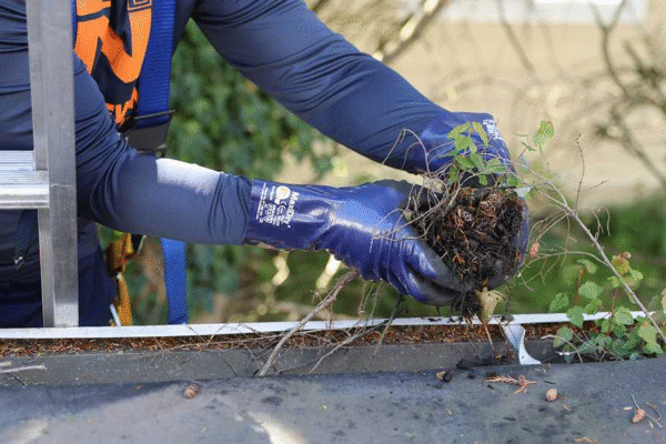 Gutter Cleaning Melbourne Experts Share Tips for a Cleaner, Safer Home