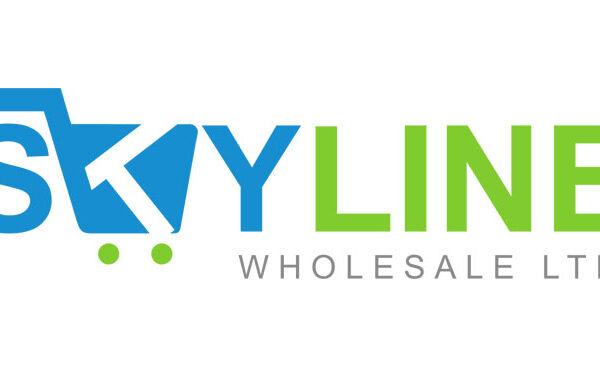 Your Wholesale Dental Supplies Partner – Skyline Wholesale skyline wholesale dental supplies