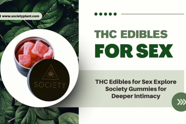 THC Edibles for Sex Explore Society Gummies for Deeper Intimacy THC edibles for sex