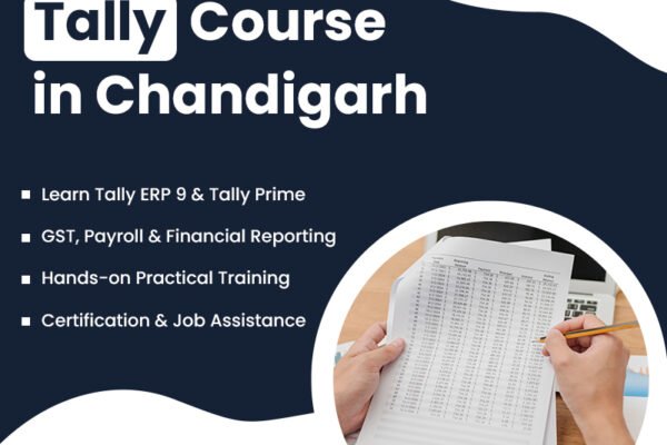 Master Accounting and Financial Management