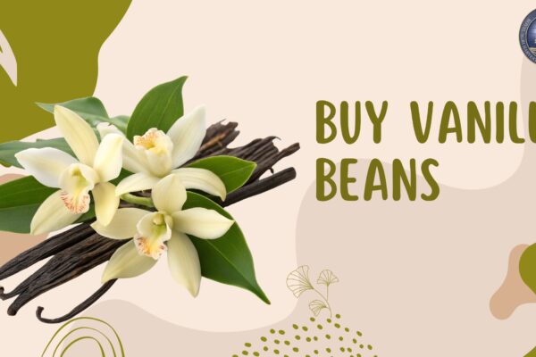 Top Reasons to Buy Vanilla Beans for Your Culinary Creations buy vanilla beans