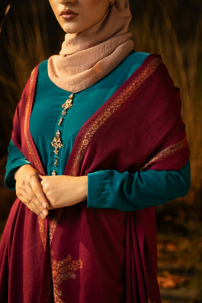 ladies shawl