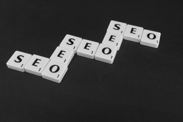How an SEO Consultant in Jaipur Can Double Your Online Traffic