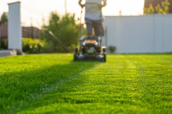How to Choose the Right Lawn Mowing Schedule for Your Yard lawn mowing