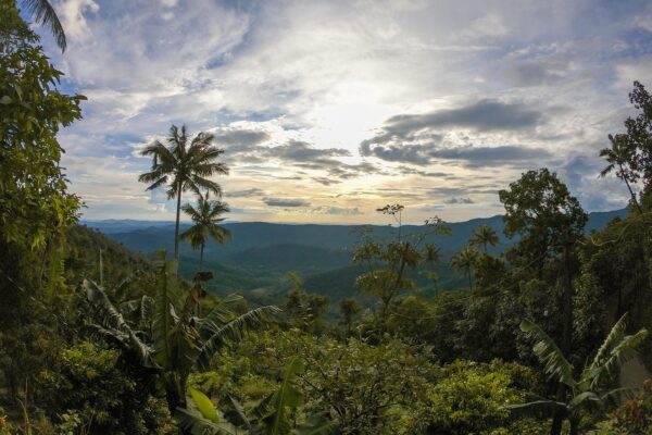 11 Days South India Tour Package – Discover Temples, Nature & Heritage 11 Days South India Tour Package